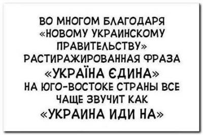 Прикрепленное изображение: 10847781_1566296613600492_845860947045985820_n.jpg